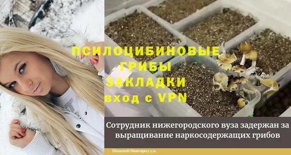 крисы Тольятти