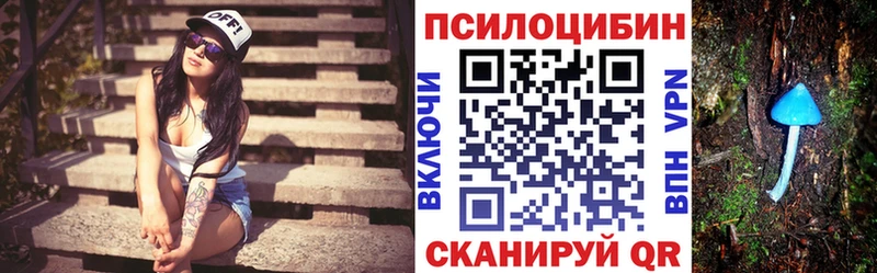 Галлюциногенные грибы Psilocybine cubensis  блэк спрут   Новосиль  продажа наркотиков 